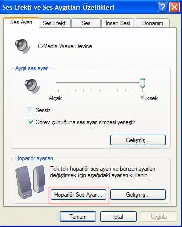 Bilgisayar Hoparlörlerinden Ses Gelmiyor Nedenleri ve Çözüm Yolları