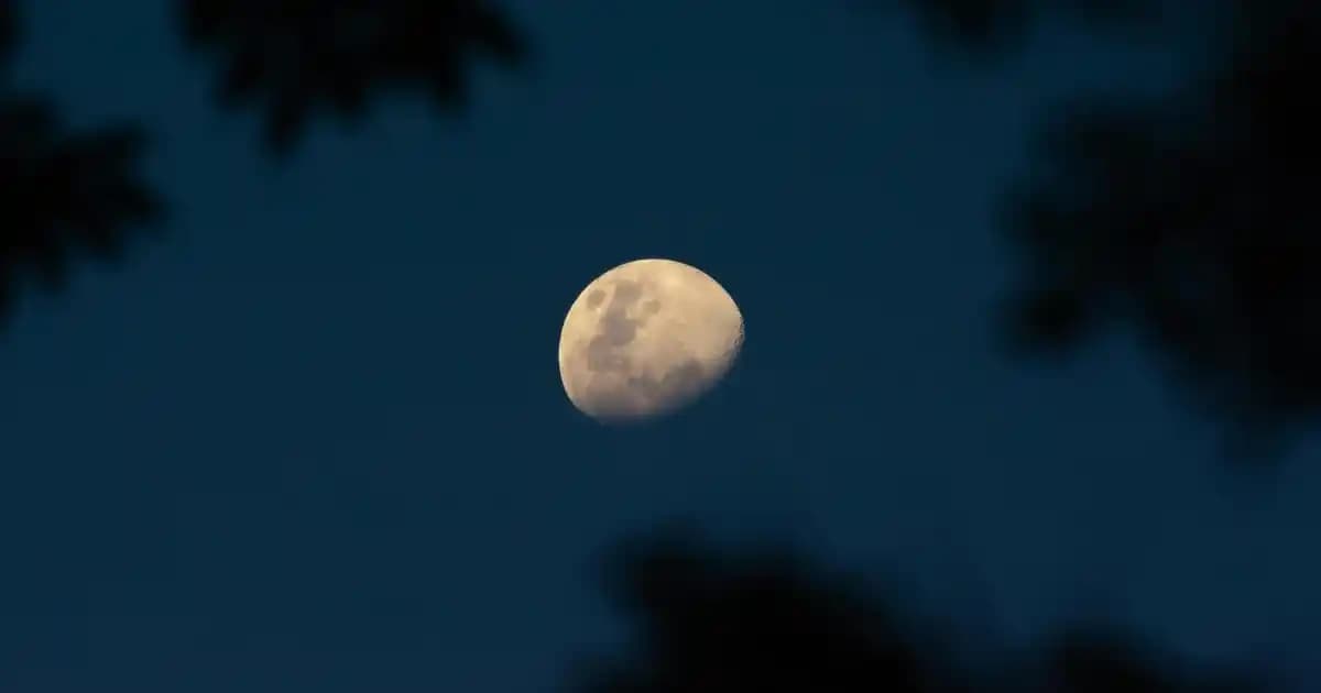 Bilgisayarda Sayfa Yenileme Tuşunun Kullanımı ve Önemi