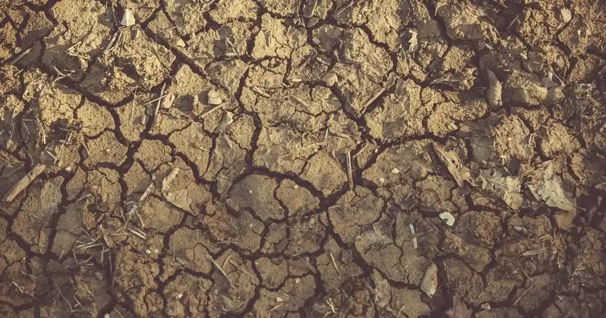 Cep Telefonlarıyla Güzel Fotoğraflar Çekmek İçin En İyi Uygulamalar ve İpuçları