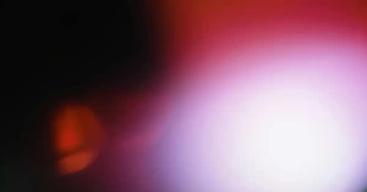 Dijital Kütüphane Sistemleri ve PINES’in Kamu Kütüphanelerindeki Rolü