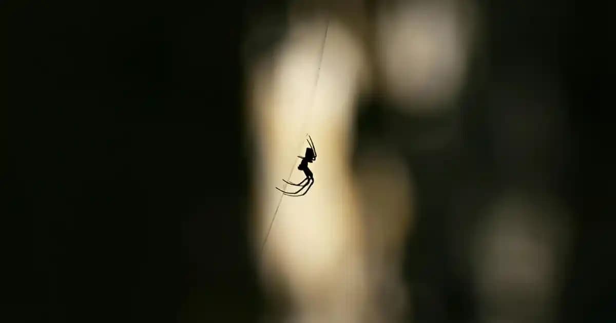 Dokunmatik Yüzey Kaplamaları: Güncel ve Gelecekteki Teknoloji Trendleri ve Uygulama Yöntemleri