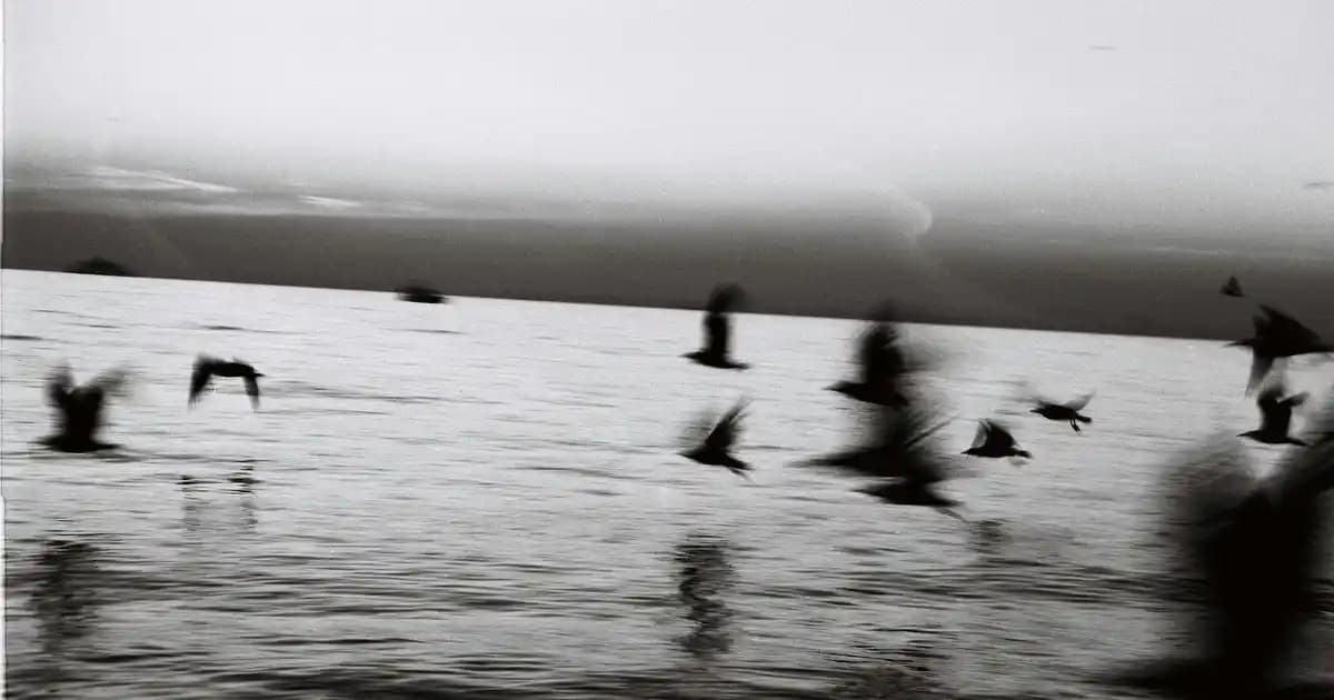 Ekran Yenileme Hızı Testleri ve Güncel Uygulamalarına Yönelik Kapsamlı Rehber