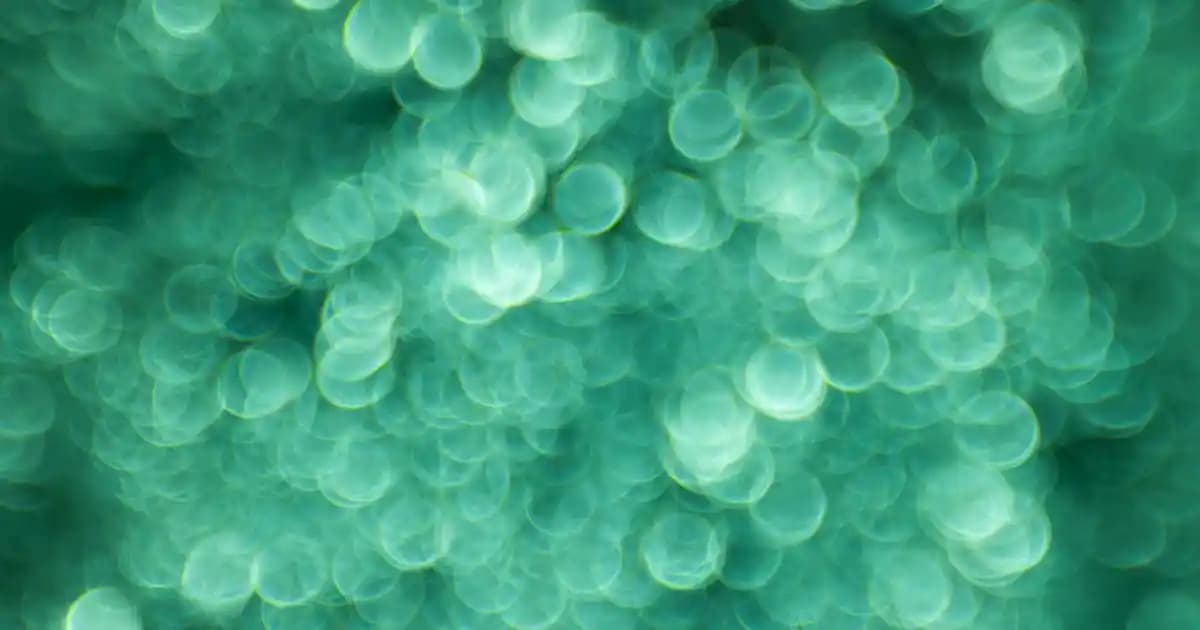 En İyi FP Tabletler: Teknik Özellikler ve Kullanım Alanları Hakkında Kapsamlı Rehber