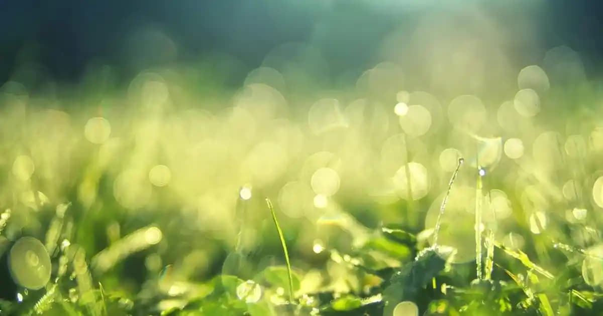 En İyi FPS Veren Telefonlar: Teknik Özellikler ve Kullanıcı Deneyimleri Analizi