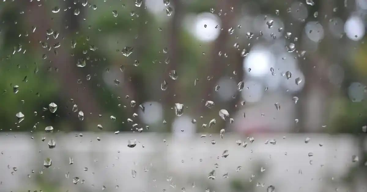 GM 23 SE Dual 4+128GB Akıllı Telefonu: Ekonomik ve Temel Kullanım İçin Uygun