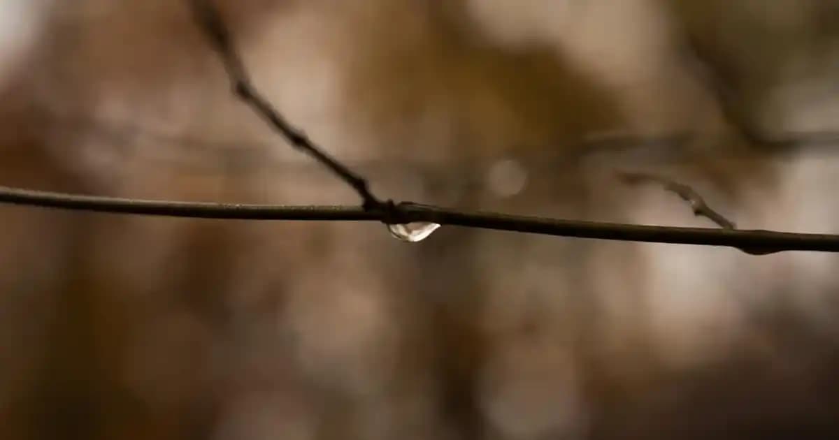 Google Çubuğu ve Chrome Tarayıcısı Kaybolduğunda Çözüm Yolları ve Temel Adımlar