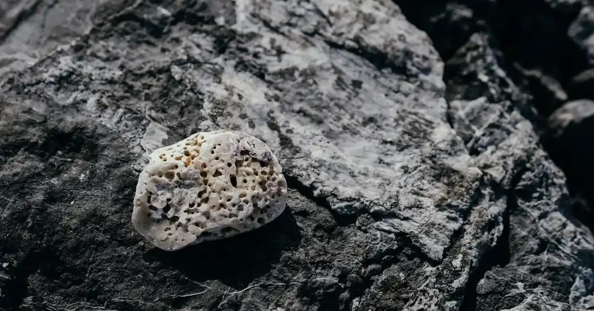 Güneş Enerjili Telefon Şarj Cihazları: Sürdürülebilir ve Taşınabilir Enerji Kaynakları