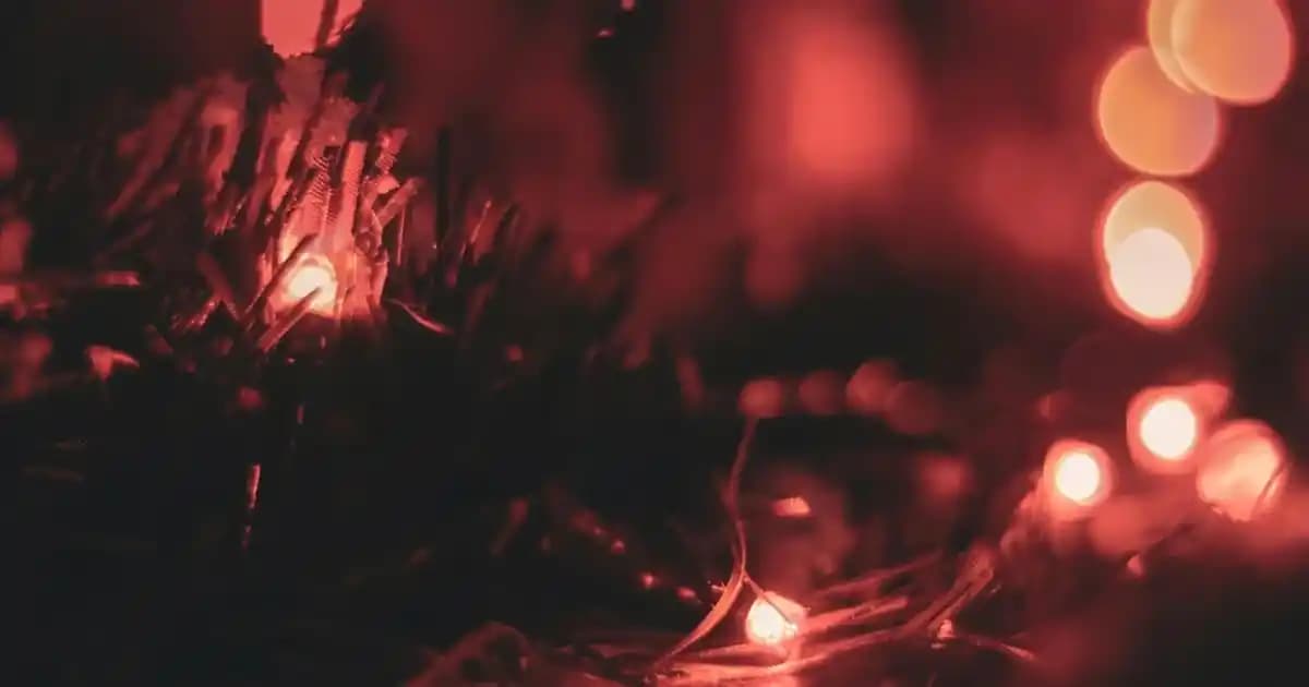 HP Dizüstü Bilgisayarları ve Aksesuarları: Güncel Özellikler ve Kullanım Alanları