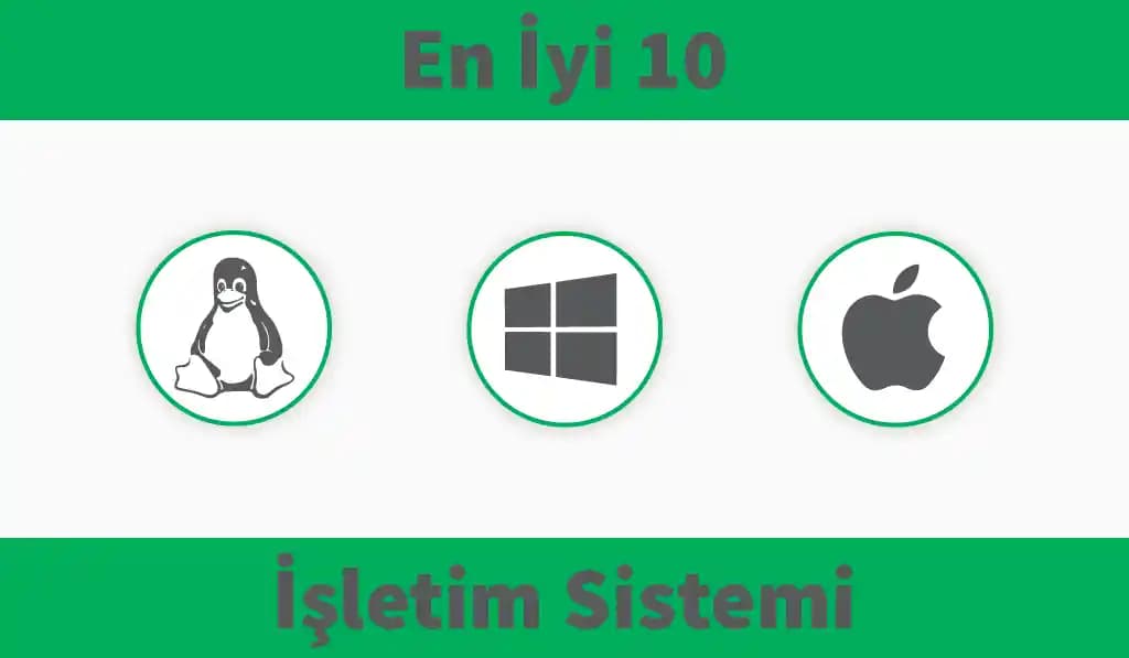 Malik Washington'ın NFL'deki İlk Sezonu ve Kariyer Gelişimi Analizi