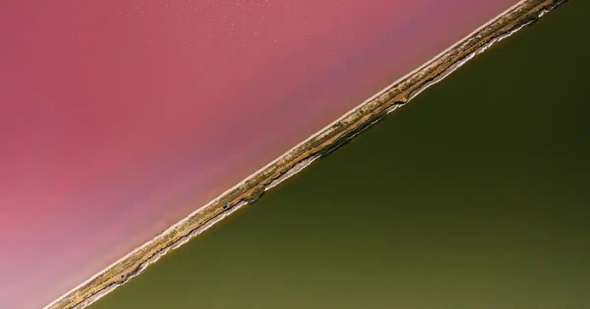 Mobil Cihazlarda Eski Mesajları Geri Getirme Yöntemleri ve Güvenli Yedekleme İpuçları