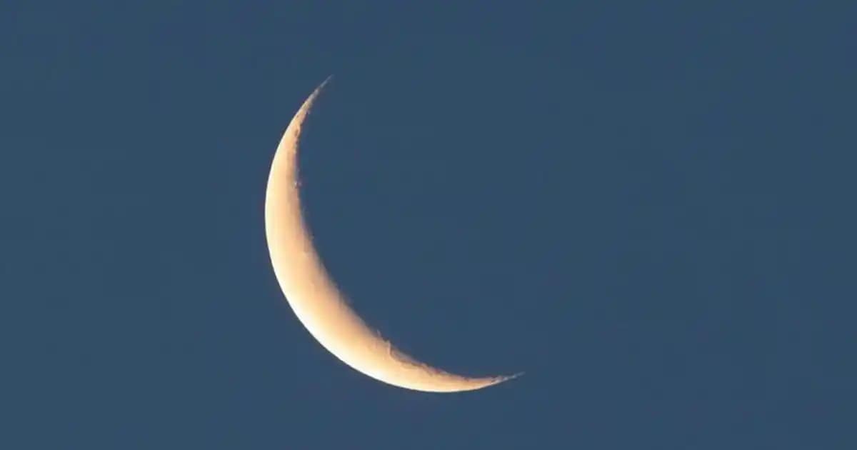 Roblox'ta Özel Sunucu Yönetimi ve Ekran Uzaklaştırma Özellikleri Hakkında Kapsamlı Bilgi