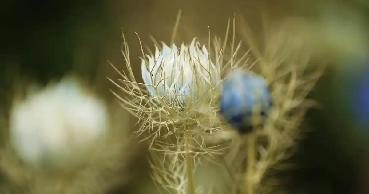 Akıllı Cihazlarda Yapay Zeka: Güncel Uygulamalar ve Gelecek Perspektifleri