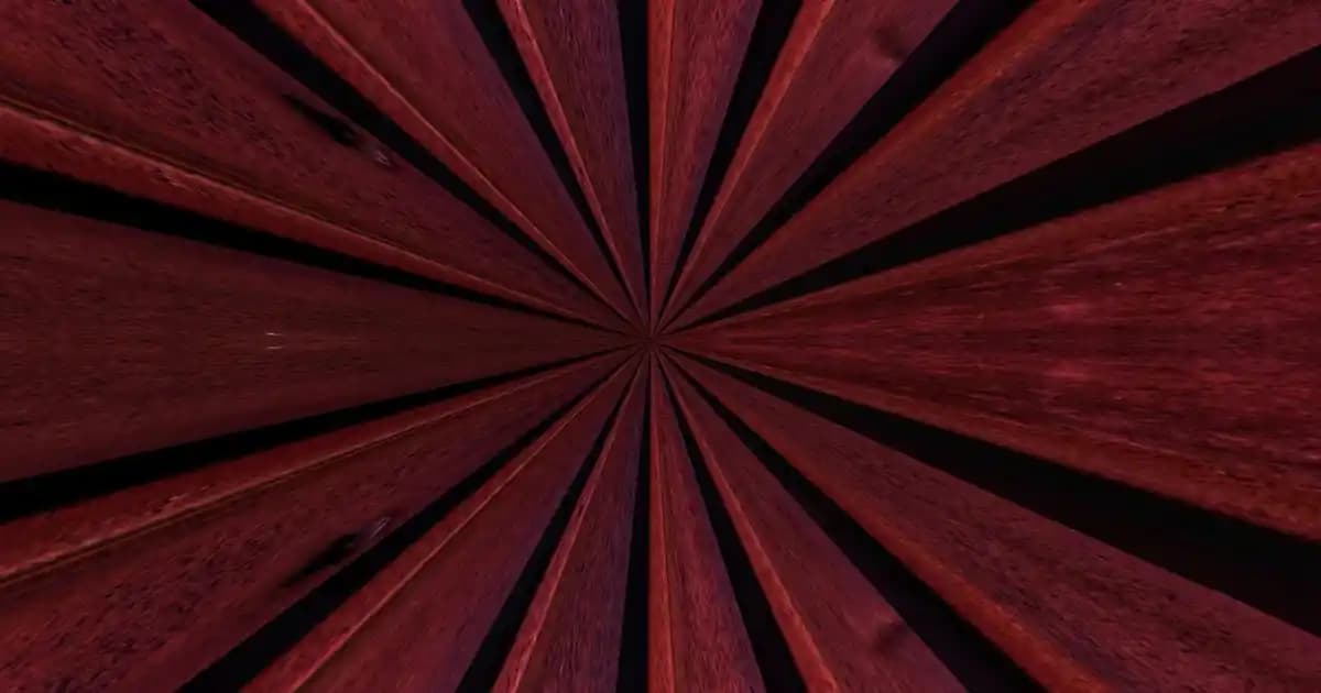 Akıllı Telefonlar ve Dijital Kameralar: Kamera Tipleri ve Özellikleri Hakkında Kapsamlı Bilgi