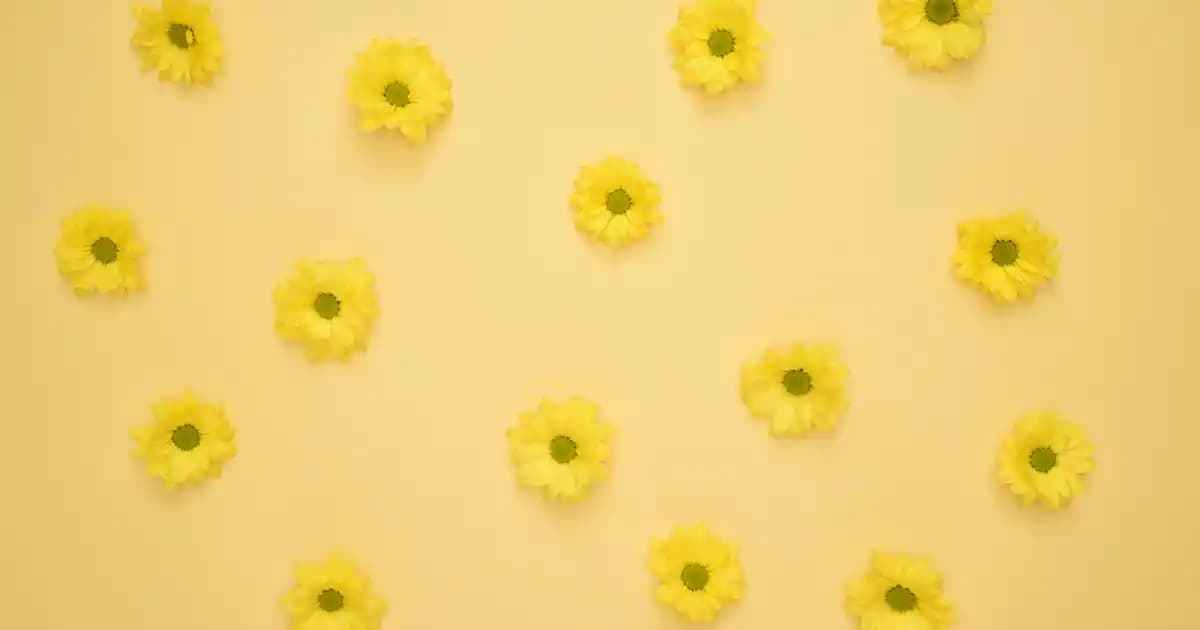 Akıllı Telefonların Hemen Isınma Nedenleri ve Etkili Çözüm Yöntemleri