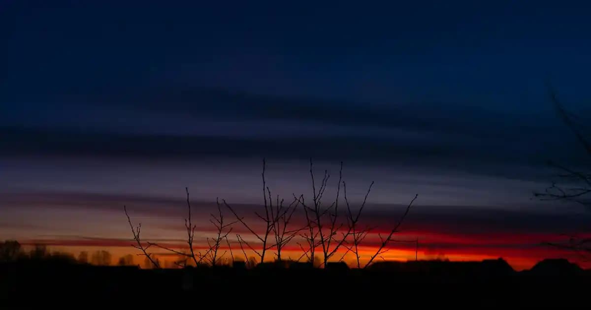 Bolivya'nın Suriname Karşısındaki Kritik Zaferi ve 2026 Dünya Kupası Yolculuğu