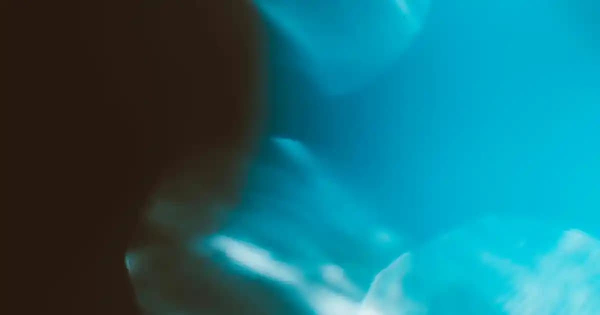 Bosch Kablosuz Süpürge Teknolojileri ve Kullanım Avantajları Hakkında Bilgi