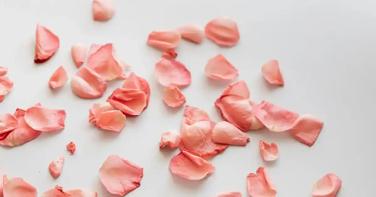 Elektronik Bilgisayarların Tarihsel Evrimi ve Günümüzdeki Önemi Üzerine Kapsamlı Bir İnceleme