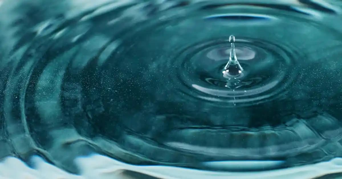 Geri Al Tuşunun Kullanım Amacı ve İşlevselliği Bilgisayar ve Mobil Cihazlarda