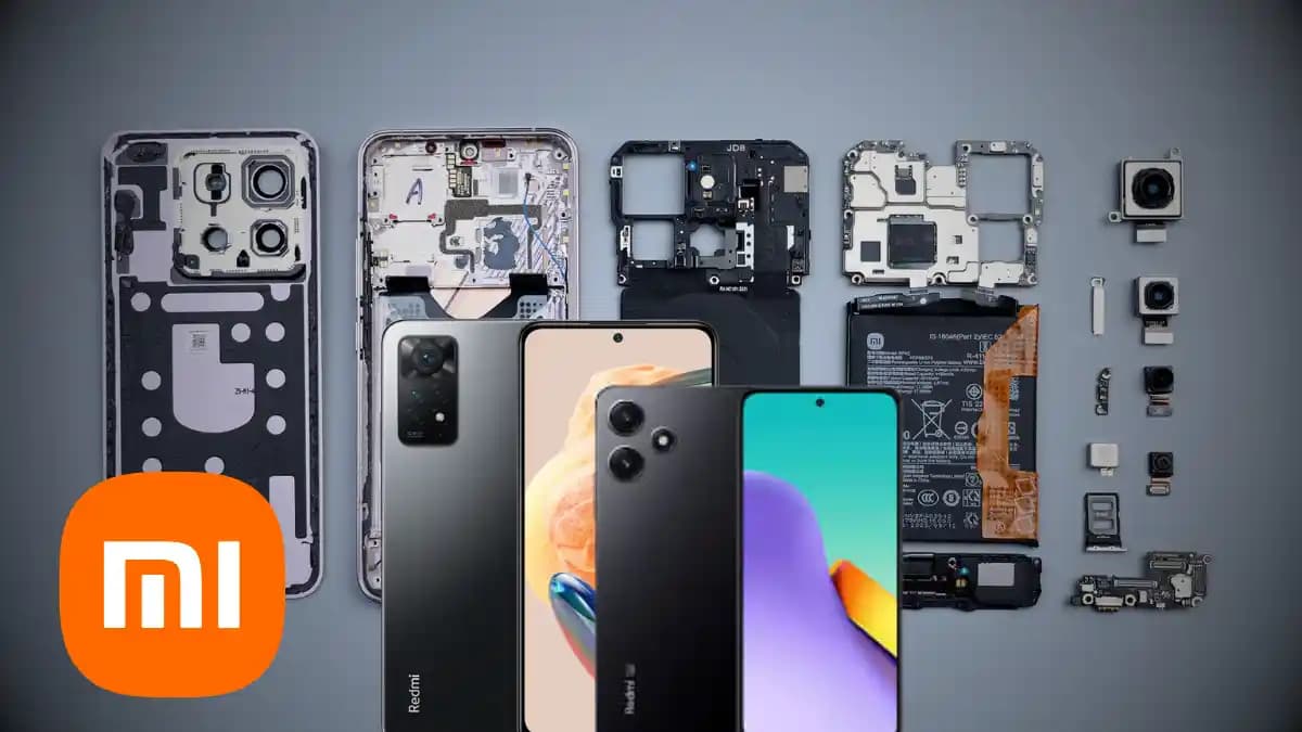 Harpia: Amazon’un En Güçlü ve Dev Yırtıcı Kuşu Özellikleri ve Yaşam Alanları