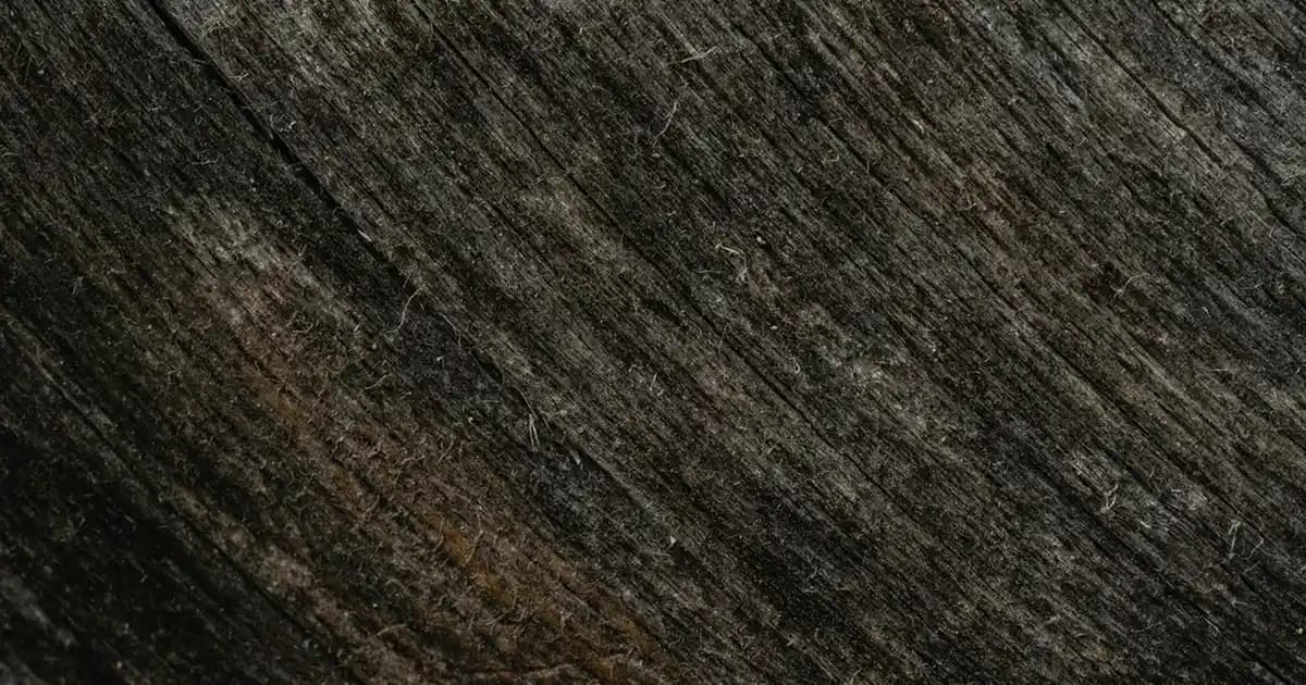 İdeal Dizüstü Bilgisayar Özellikleri Güncel ve Pratik Kılavuz 2023