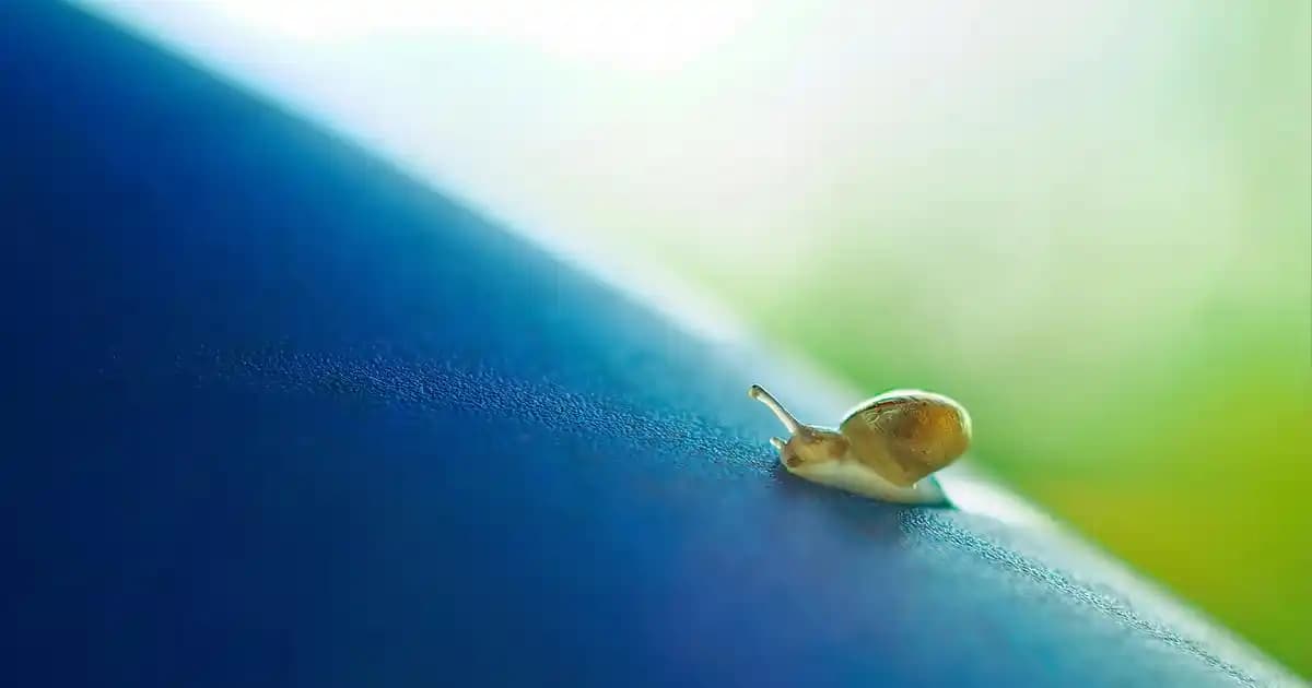 iPhone 13 256 GB Fiyatları ve Piyasa Durumu Güncel Bilgilerle Analiz