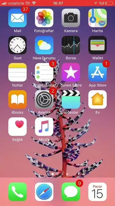 iPhone'da Arka Plan Değiştirme ve Yeni Modellerdeki Güncel Özellikler