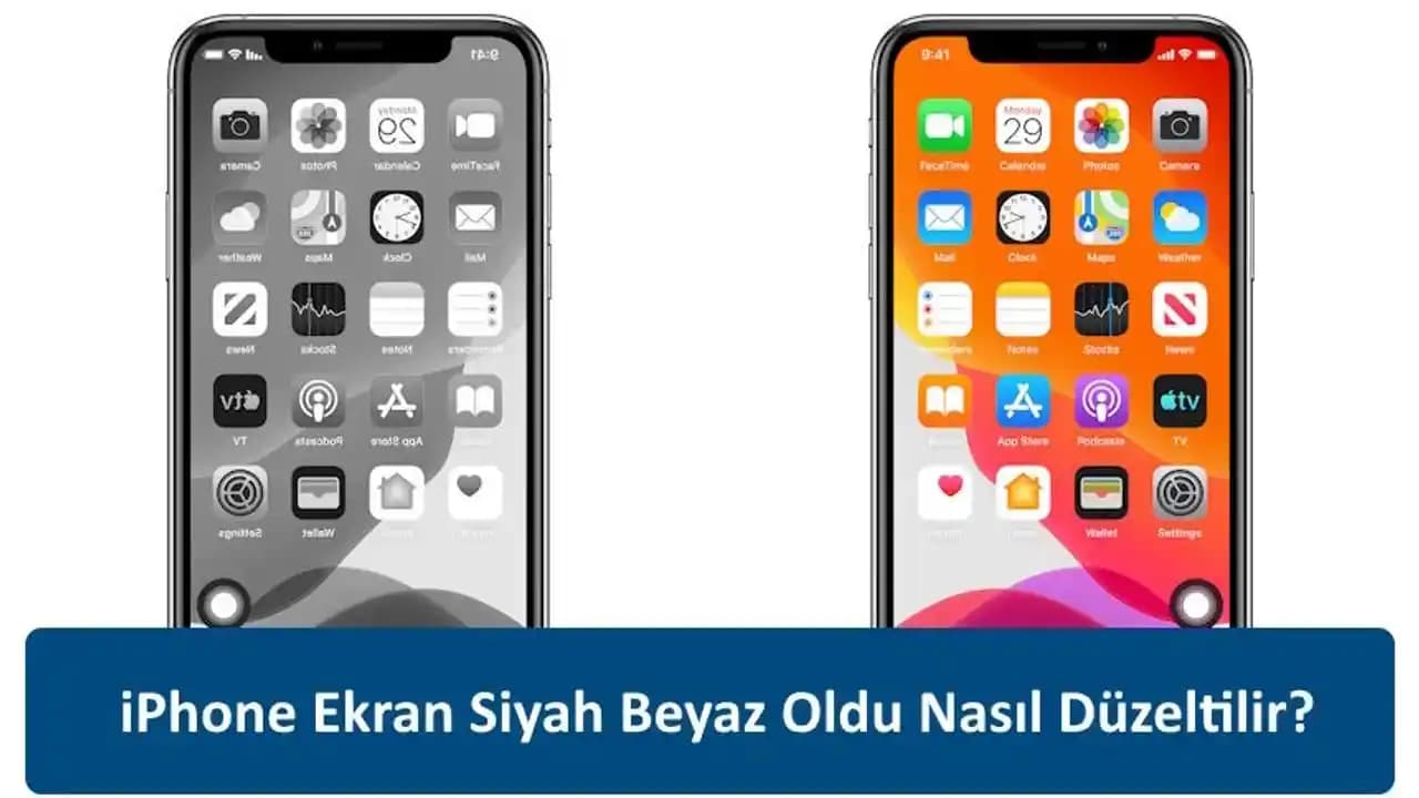 iPhone Ekran Siyah-Beyaz Oldu Nedenleri ve Çözüm Yolları