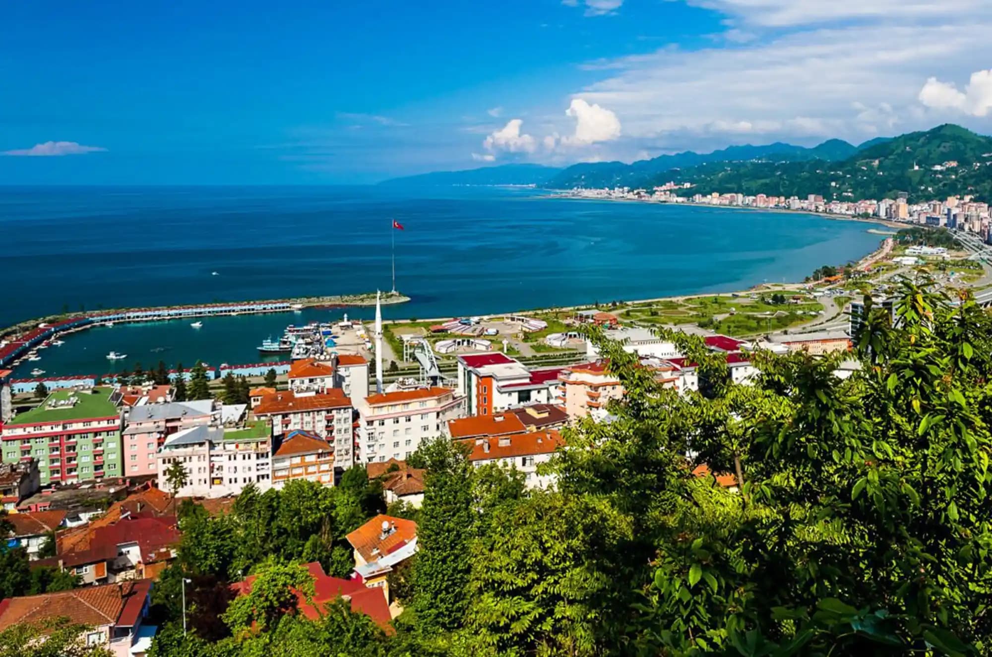 Kalp Kapak Hastalıklarının Güncel Tanı ve Tedavi Yaklaşımları