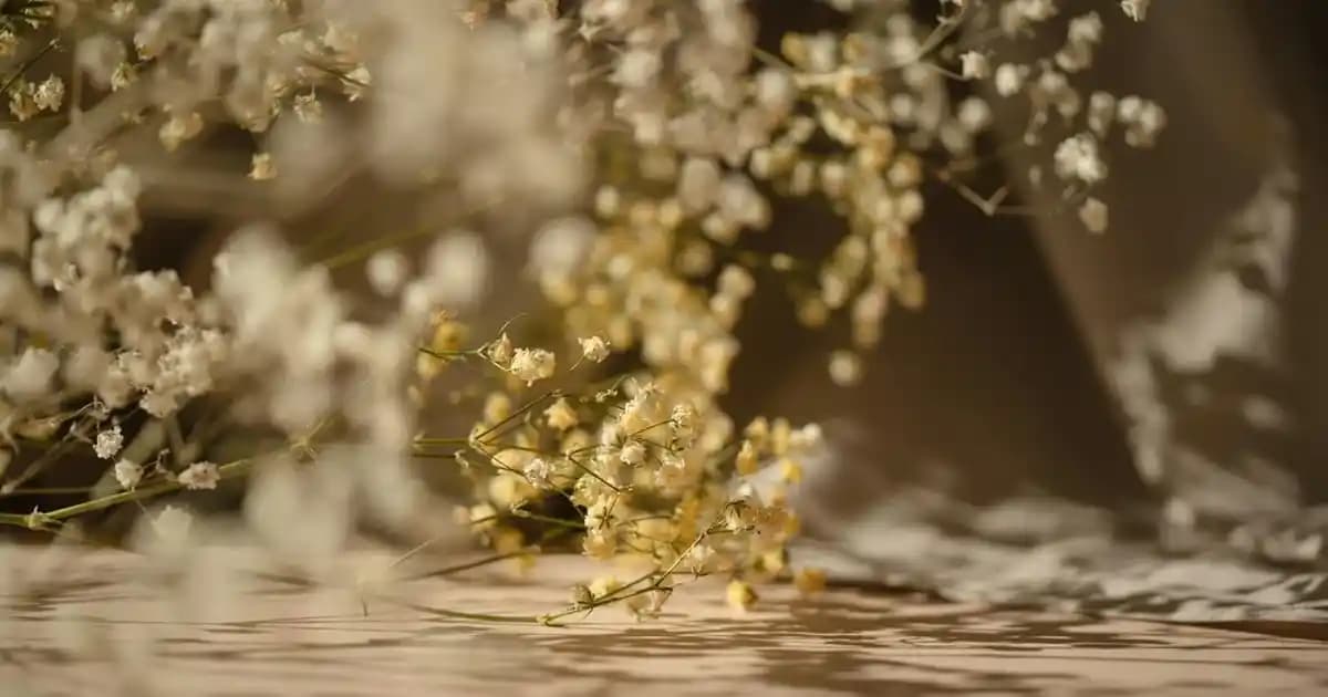 Lenovo ve Honor Markaları Akıllı Telefon ve Tablet Segmentinde Öne Çıkıyor