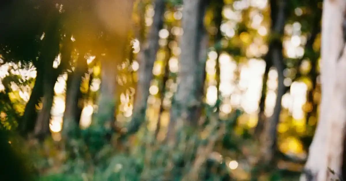 Monitör Pivot Özelliği Nedir ve Neden Çalışma Verimliliğini Artırır