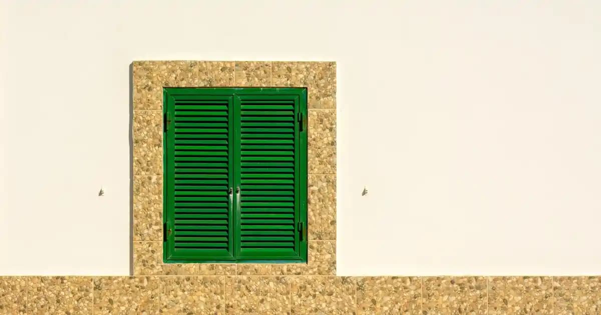 O-KAM Pro ve Akıllı Güvenlik Sistemleri: Uzaktan İzleme ve Güvenlik Çözümleri