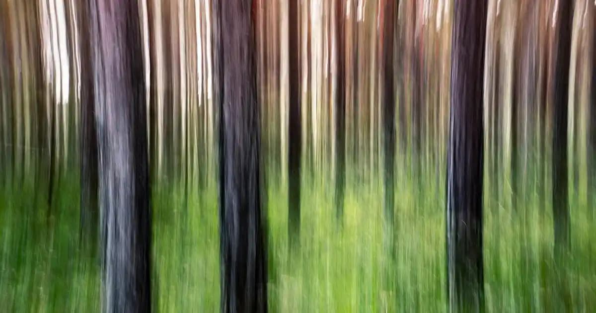 Philips 40 inç TV: Teknik Özellikler ve Kullanım Alanları Hakkında Detaylı Bilgi