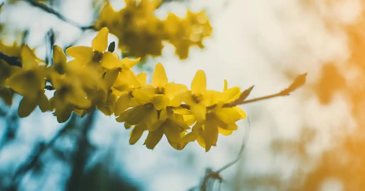 PlayOK Platformu ile Çevrimiçi Masa ve Kart Oyunlarında Yeni Nesil Eğlence Deneyimi