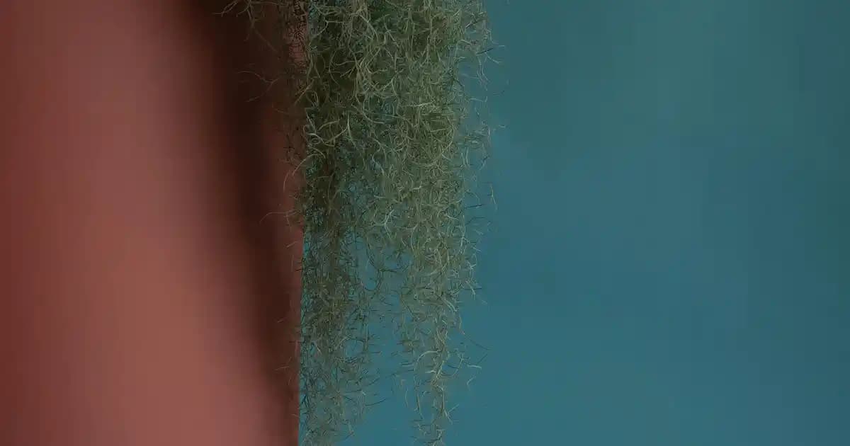 PUBG Oynamak İçin En Uygun Telefon Seçimi ve Performans Analizi