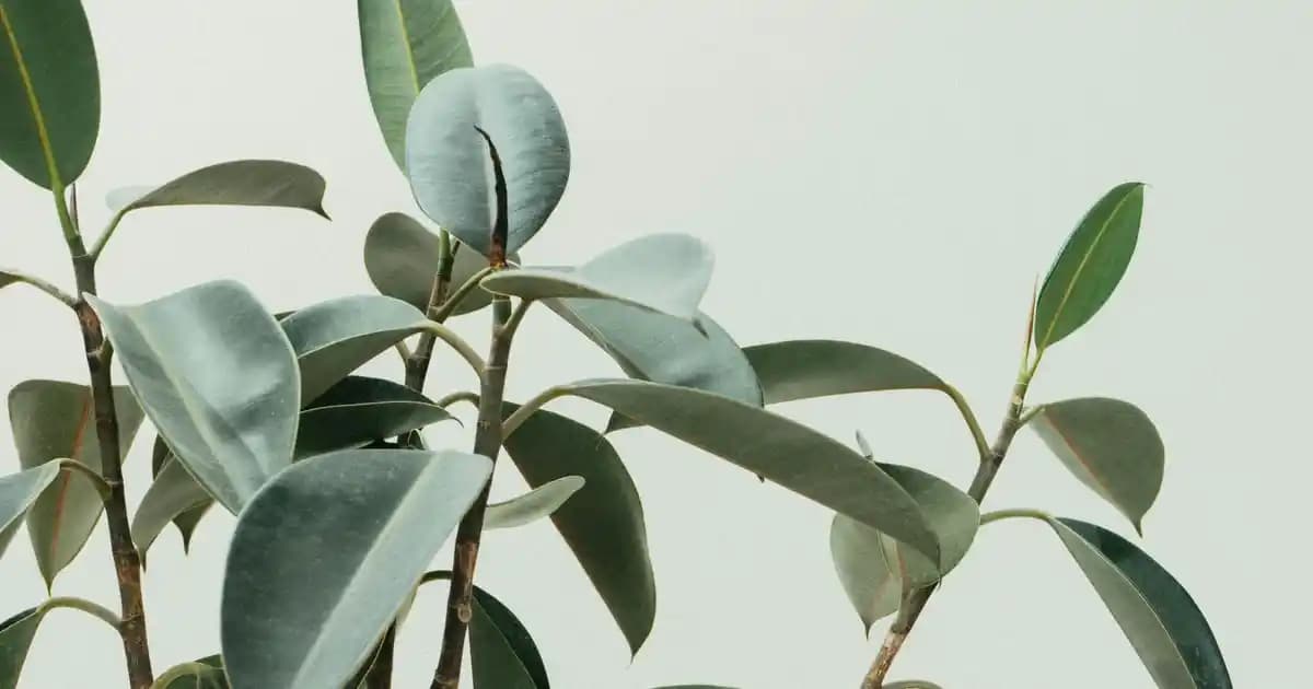 Redmi Telefonlarda Şarj Sorunu Nedenleri ve Etkili Çözüm Yöntemleri