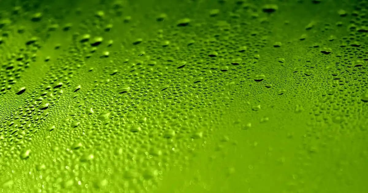 Samsung EB-P3400X Taşınabilir Şarj Cihazı: Mobil Cihazlar İçin Güç Kaynağı Çözümü