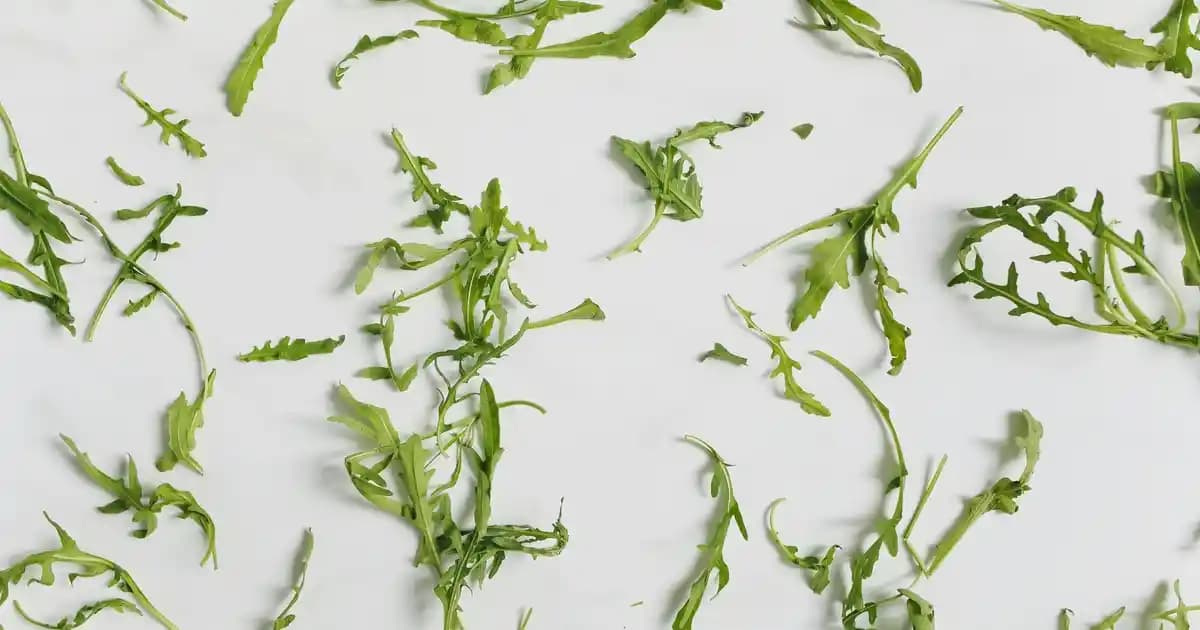 Samsung Galaxy Fit 3 ve Mi Band 9 Karşılaştırması: Hangi Akıllı Bileklik Sizin İçin Uygun