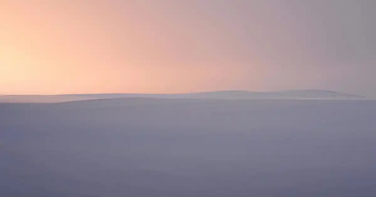 Samsung Kalemli Telefonlar: Galaxy Note Serisi ve Dijital Kalem Özellikleri