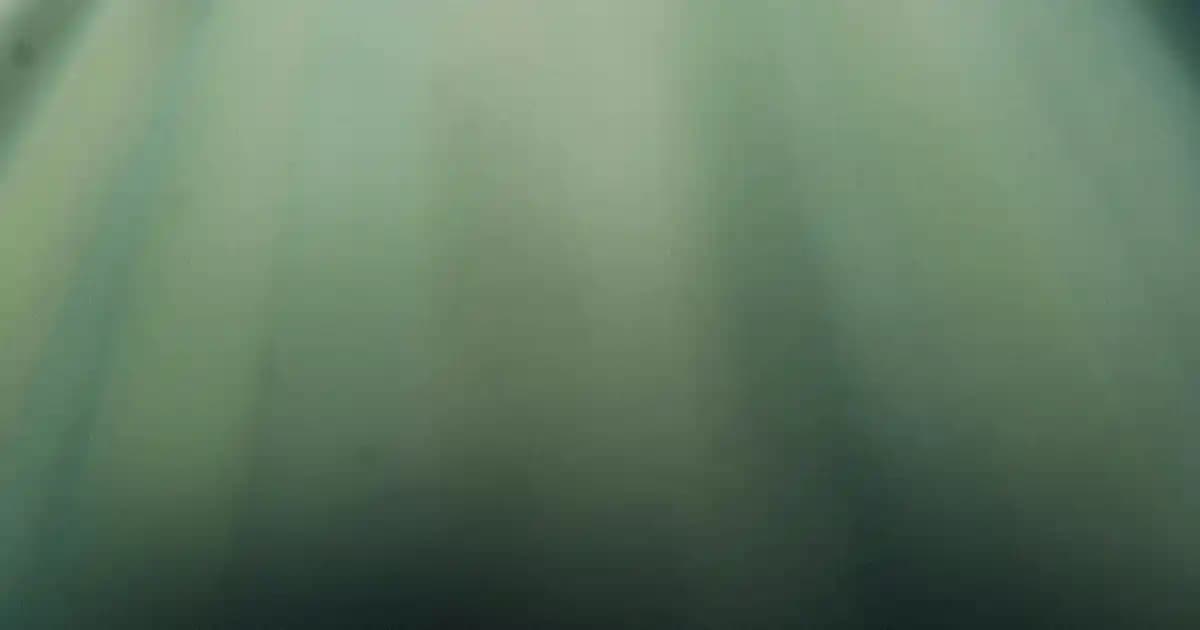 SmartTag 2 Akıllı Etiket Özellikleri ve Kullanım Alanları Hakkında Bilgi