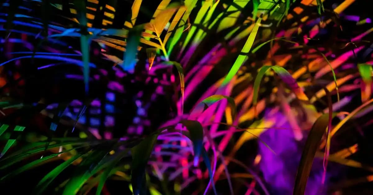 Tab K11 ve M11: Performans, Tasarım ve Kullanım Amaçlarına Göre Karşılaştırma