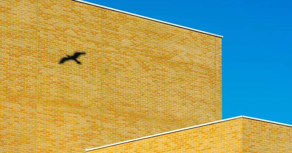 Telefonlarda Çerezleri Silme ve Gizlilik Güçlendirme Yöntemleri