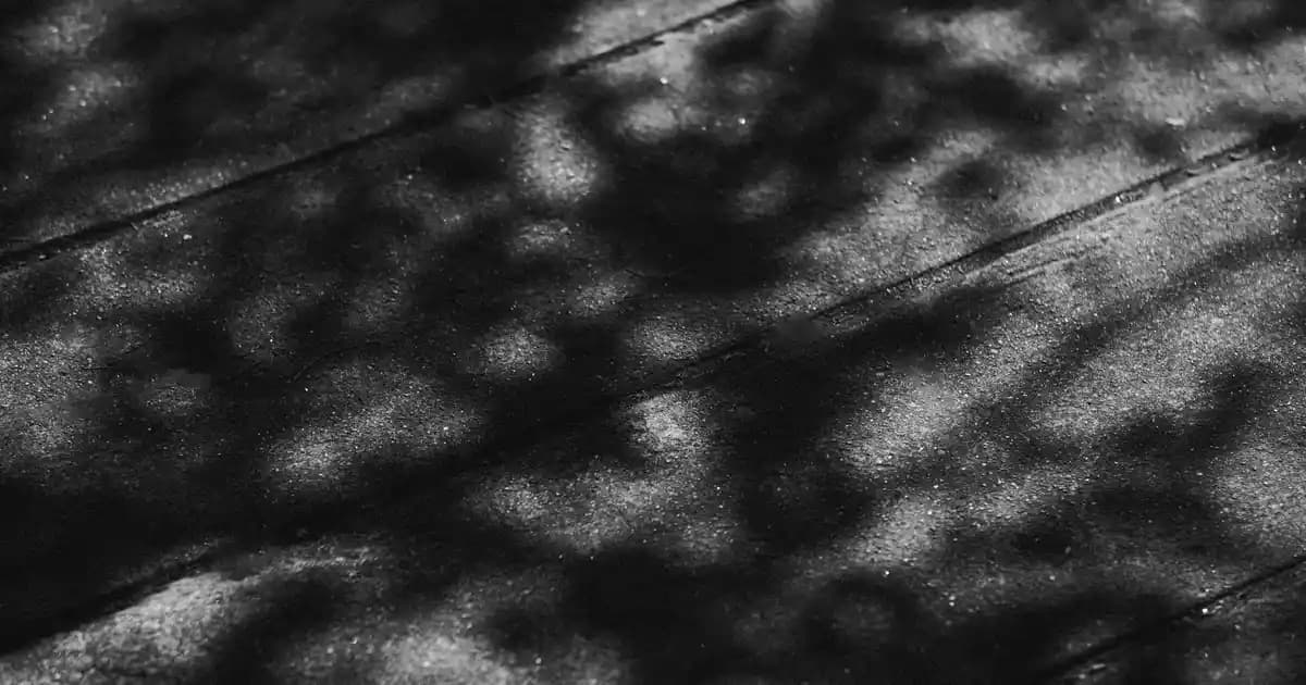 Telefonlardaki Diğer Dosyalar Nedir ve Nasıl Yönetilir