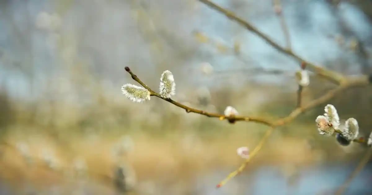 Telefonlardan Bilgisayara Uygulama ve Veri Aktarımı Yöntemleri Analizi