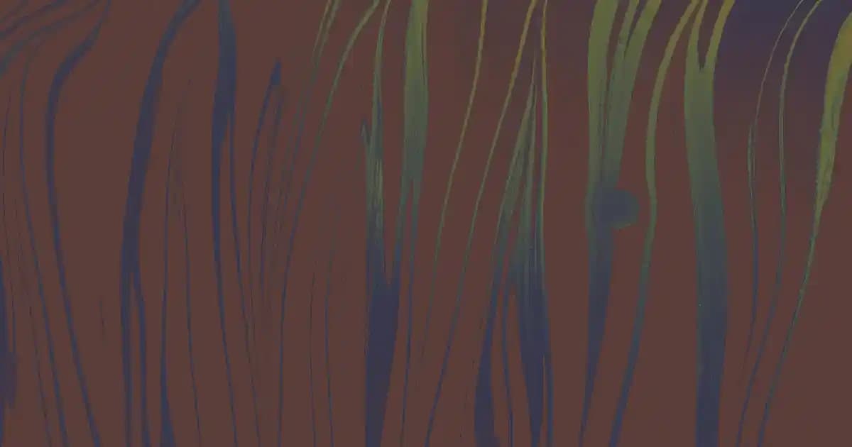 Termal Kameraların Çok Yönlü Kullanım Alanları ve Güncel Uygulama Alanları