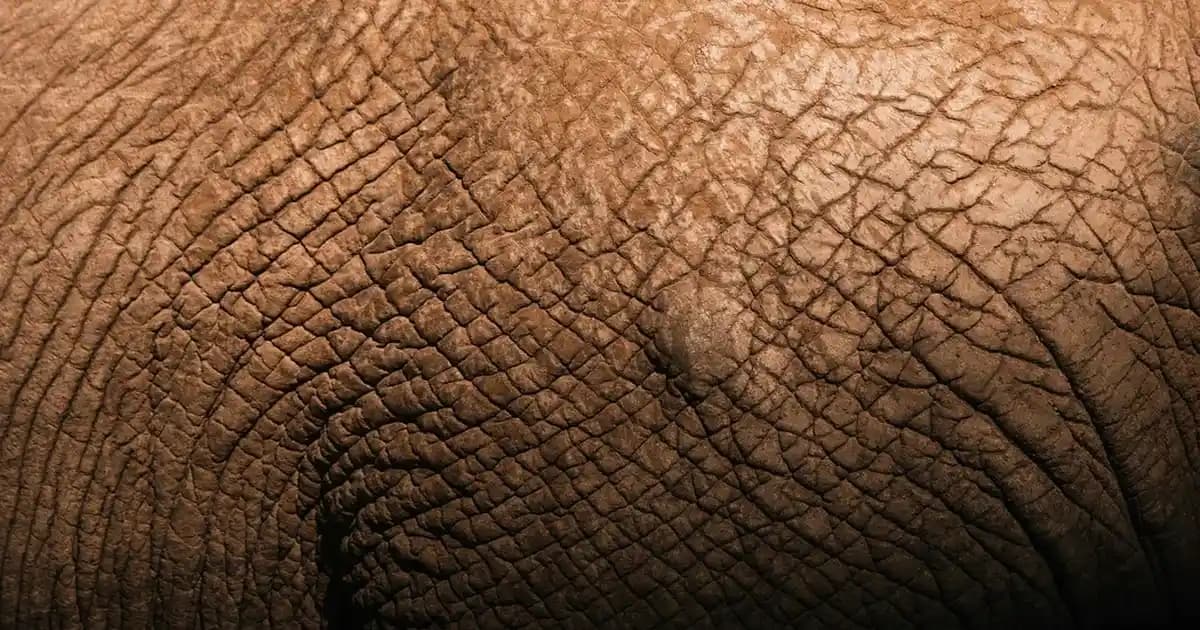 Türkiye'nin futbol ve spor alanındaki köklü geçmişi ve uluslararası başarıları hakkında kapsamlı değerlendirme