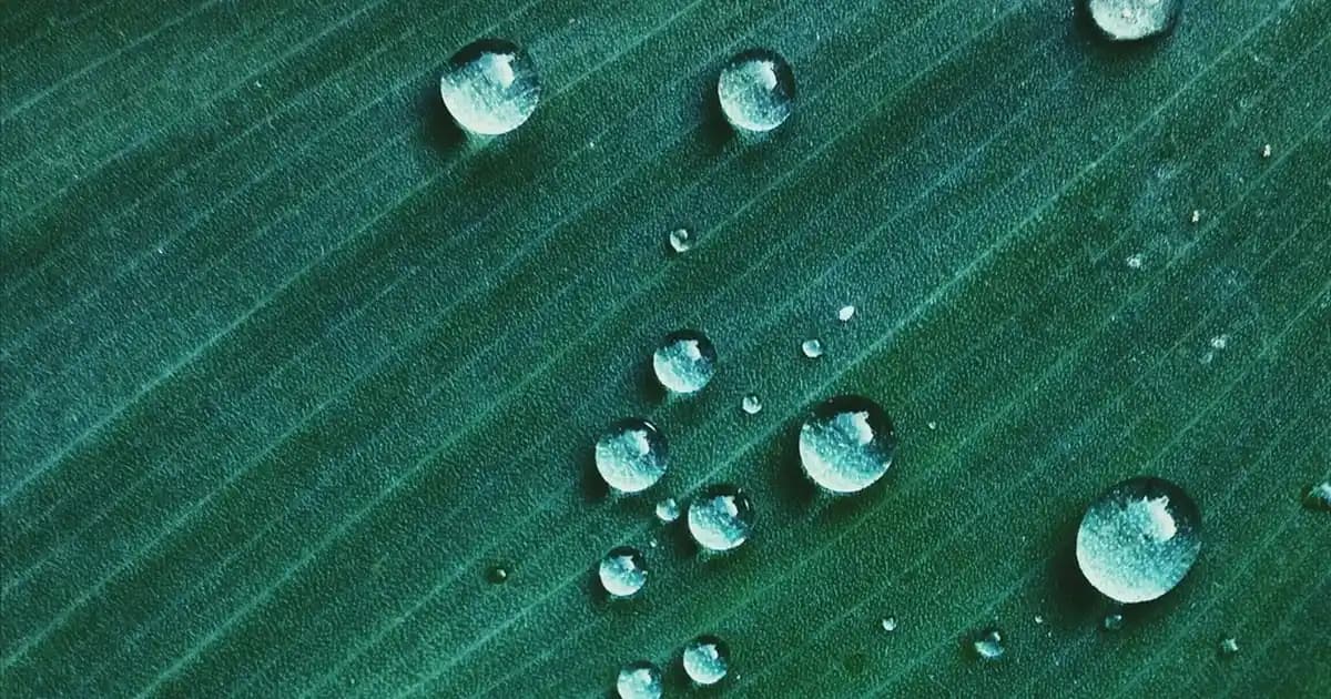 Xiaomi C300 Akıllı Kamera Hakkında Bilgi ve Güvenlik Çözümleri