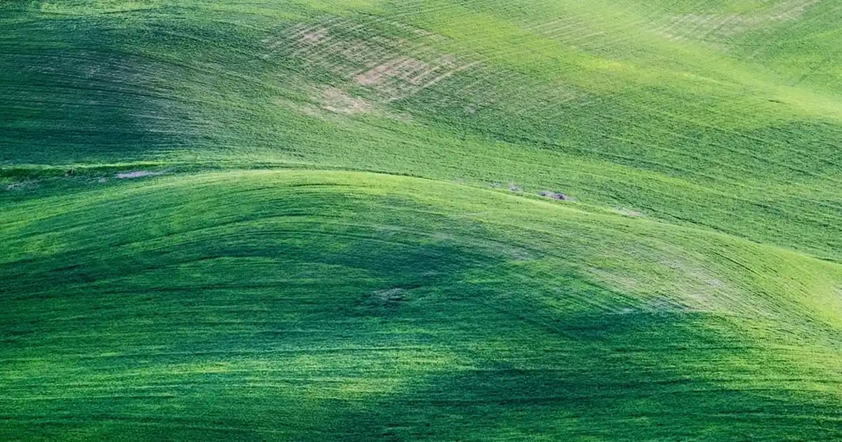 Xiaomi MIUI Arayüzü: Kullanıcı Deneyimini Geliştiren Özellikler ve Özelleştirme Seçenekleri