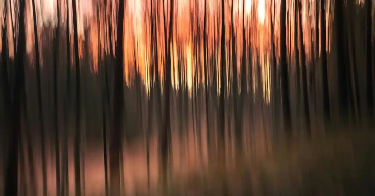 Yılz Klavye Özellikleri ve Kullanım Alanları Hakkında Detaylı Bilgi