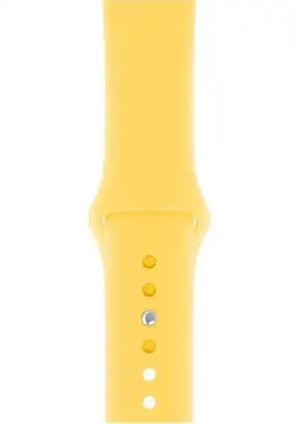 PSGT Apple Watch Silikon Kayışlar 38mm ve 40mm için Dayanıklı ve Şık Tasarım