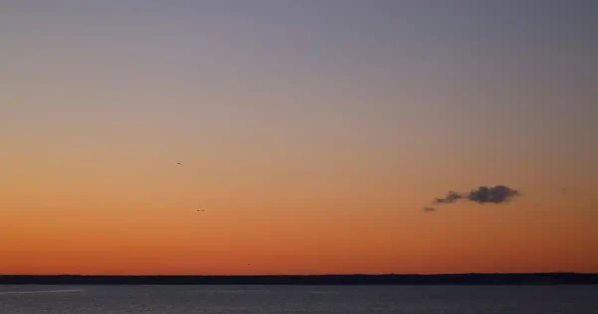 25 litrelik buzluk termoslar: dayanıklı ve yüksek kapasiteli soğutma çözümleri
